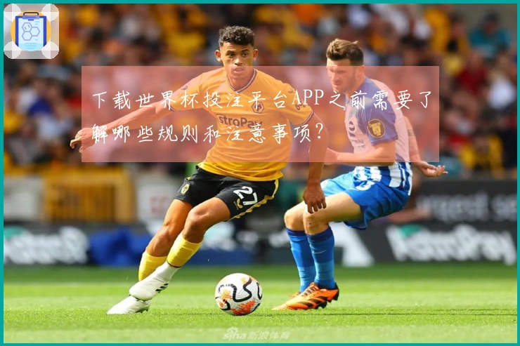 下载世界杯投注平台APP之前需要了解哪些规则和注意事项？