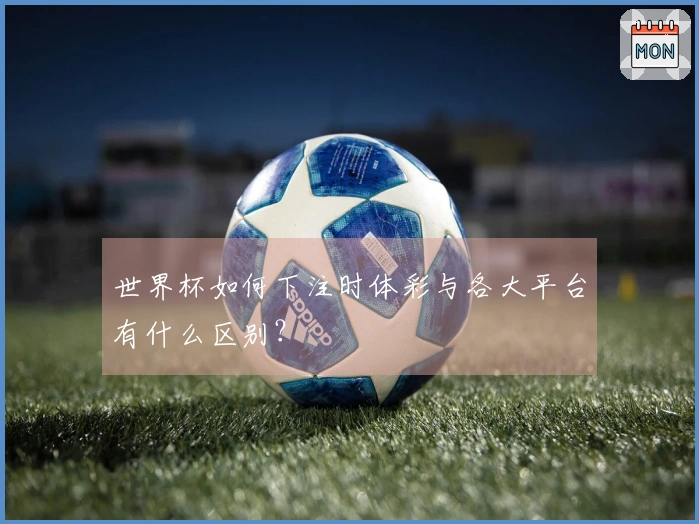 世界杯如何下注时体彩与各大平台有什么区别？