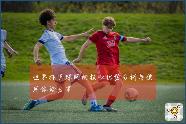 世界杯买球网的核心优势分析与使用体验分享