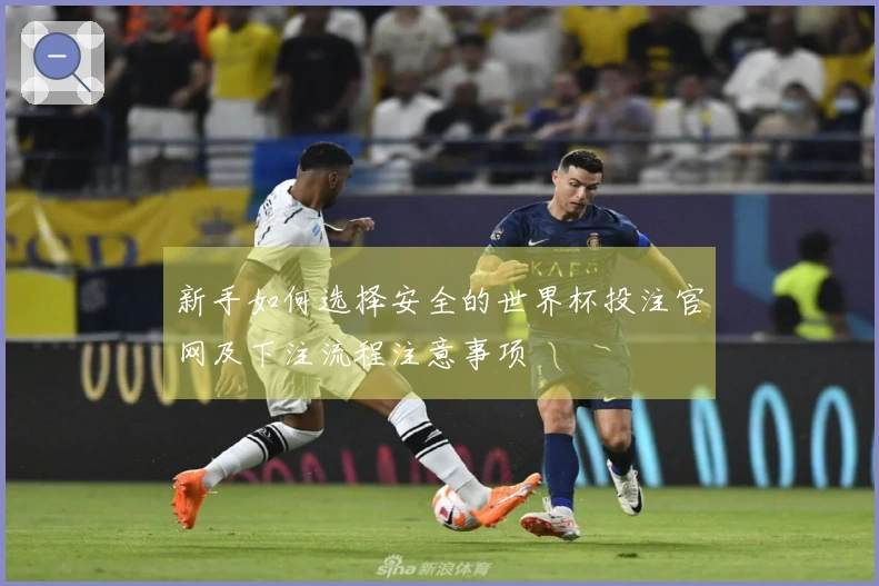新手如何选择安全的世界杯投注官网及下注流程注意事项