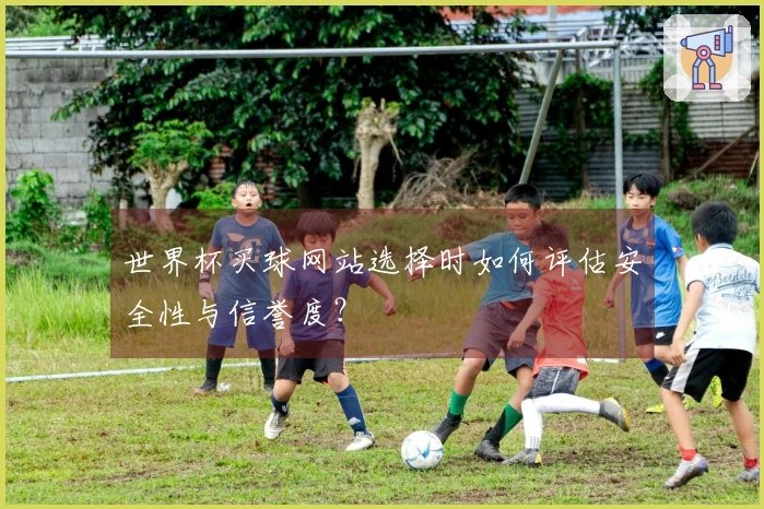 世界杯买球网站选择时如何评估安全性与信誉度?