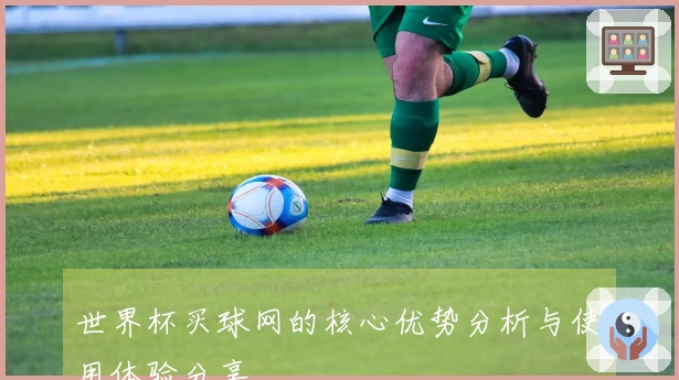 世界杯买球网的核心优势分析与使用体验分享