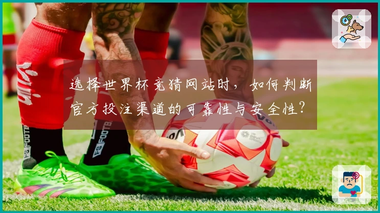 选择世界杯竞猜网站时，如何判断官方投注渠道的可靠性与安全性？