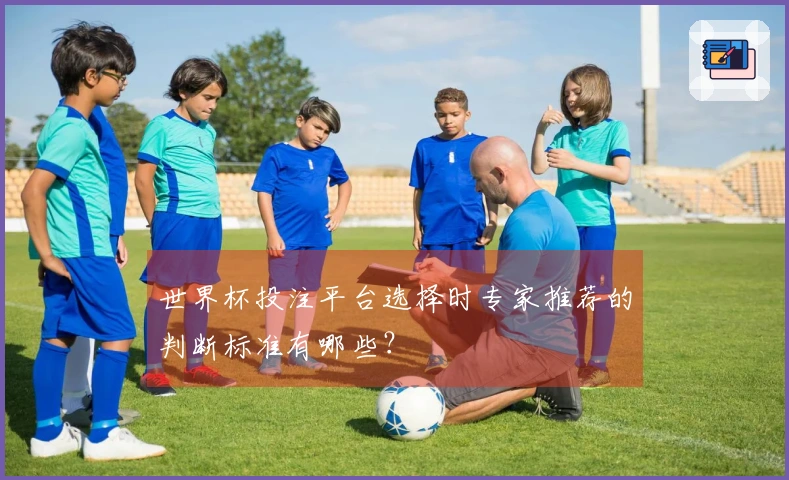 世界杯投注平台选择时专家推荐的判断标准有哪些？
