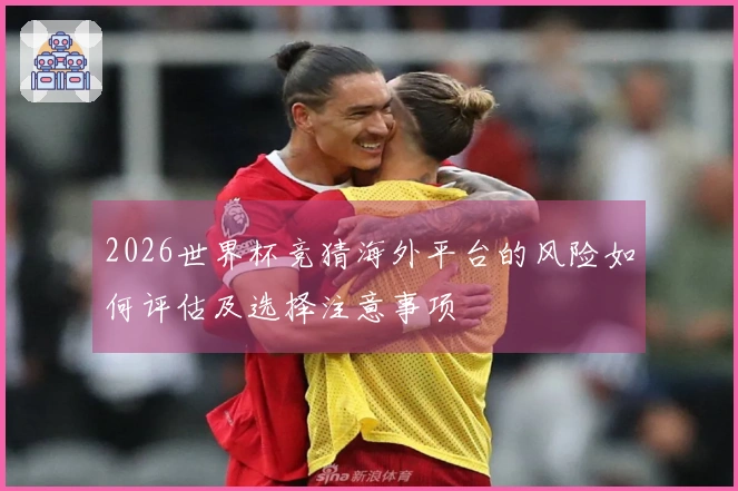 2026世界杯竞猜海外平台的风险如何评估及选择注意事项