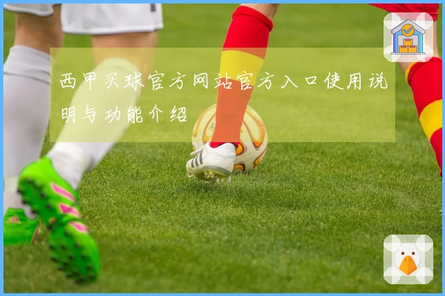 西甲买球官方网站官方入口使用说明与功能介绍