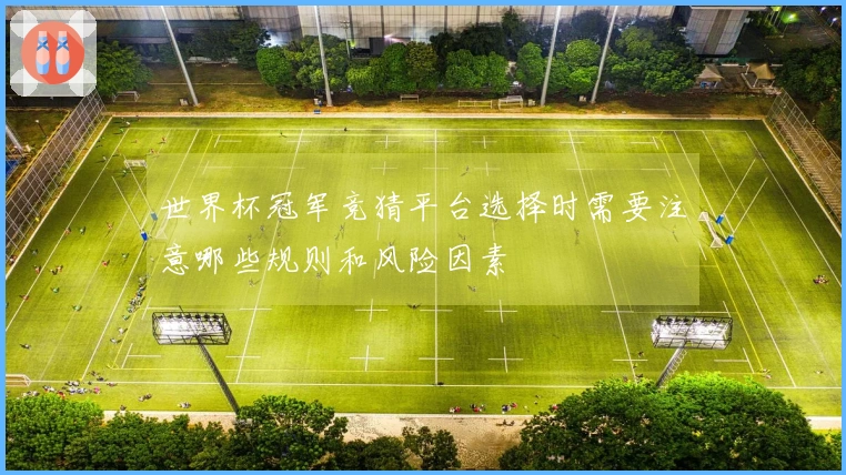 世界杯冠军竞猜平台选择时需要注意哪些规则和风险因素