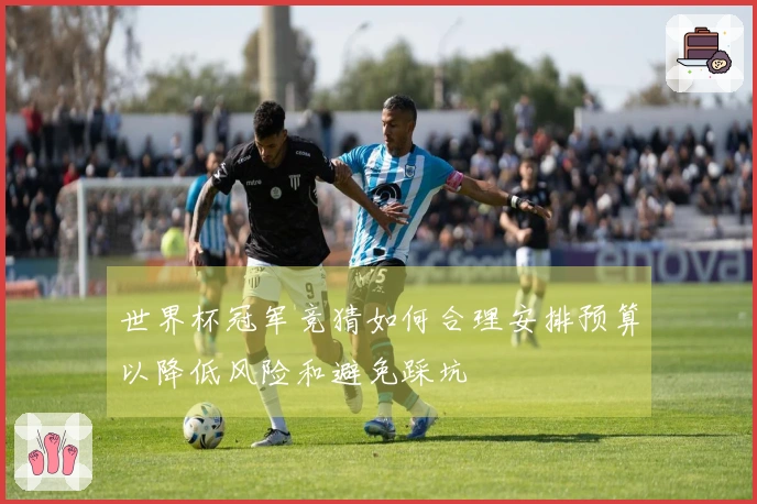 世界杯冠军竞猜如何合理安排预算以降低风险和避免踩坑
