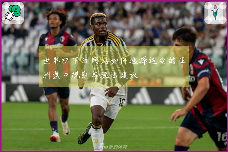 世界杯下注网站如何选择适合的亚洲盘口规则与玩法建议