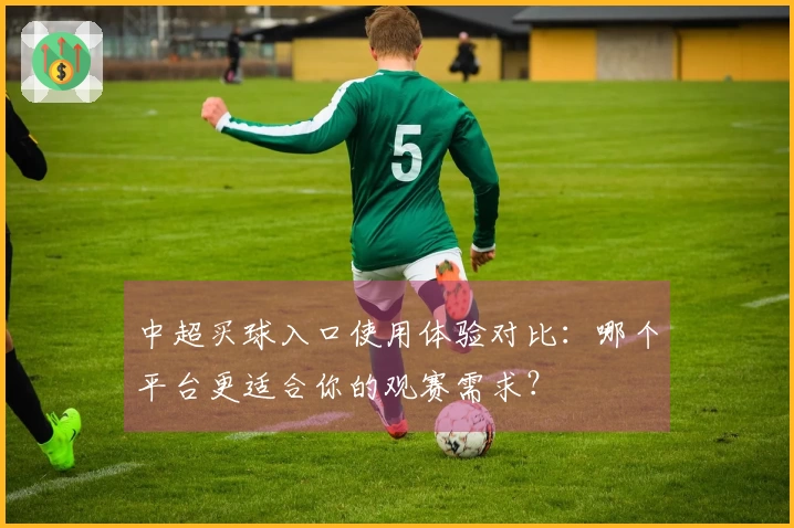 中超买球入口使用体验对比：哪个平台更适合你的观赛需求？