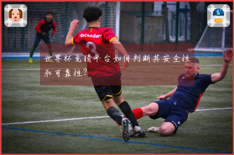 世界杯竞猜平台如何判断其安全性和可靠性？