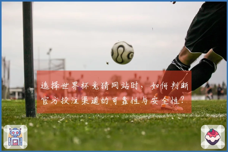 选择世界杯竞猜网站时，如何判断官方投注渠道的可靠性与安全性？
