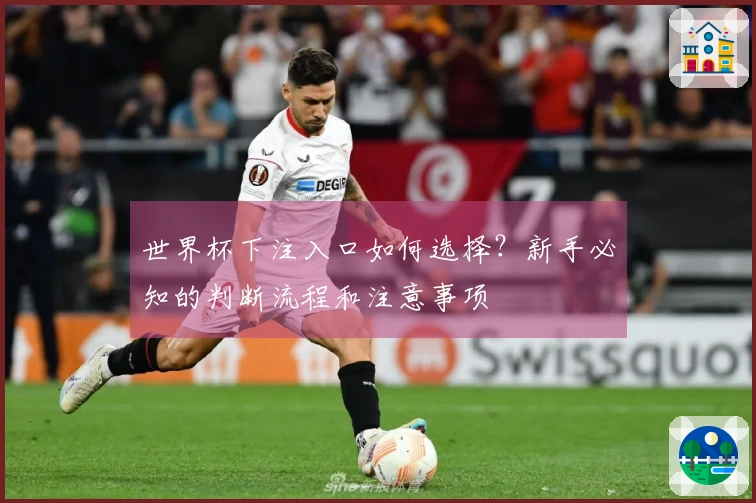 世界杯下注入口如何选择？新手必知的判断流程和注意事项