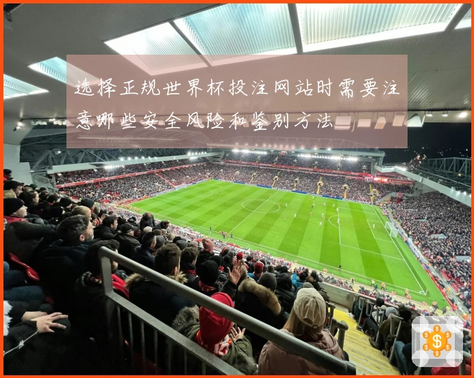 选择正规世界杯投注网站时需要注意哪些安全风险和鉴别方法