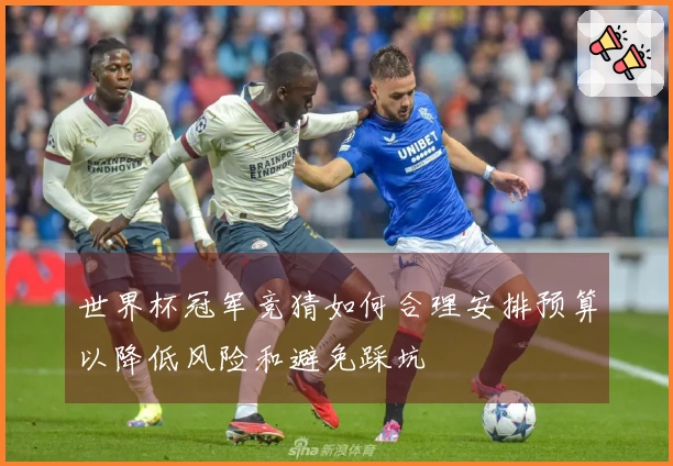 世界杯冠军竞猜如何合理安排预算以降低风险和避免踩坑